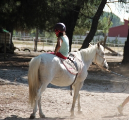 Campamentos de verano en Equimland