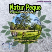 Campamento Urbano Valladolid: NaturPeque