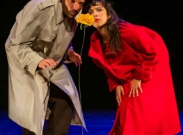 Luna Teatro Danza presenta “Flor de greguerías” 