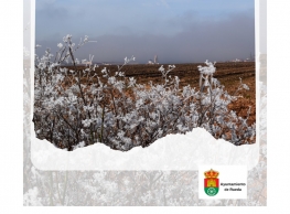 San Sebastián en Rueda 